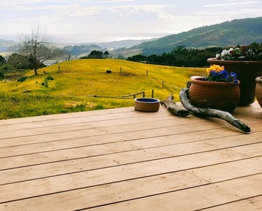 Deck Builder Mangawhai