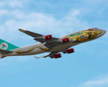 Fotografía de un avión del constructor aeronáutico Boeing de la compañía aérea Arosur