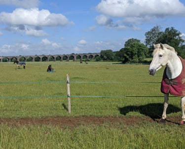 Individual turnout at livery yard near Bicester.