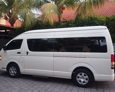 bali car driver