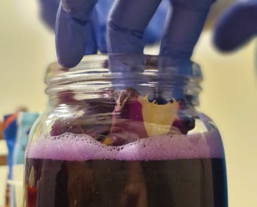 Unas manos con guantes aplastando col morada para hacer chucrut.