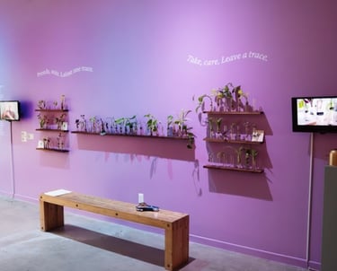 Wide view of wall text “take care leave a trace” with propagation tubes holding plant cuttings.