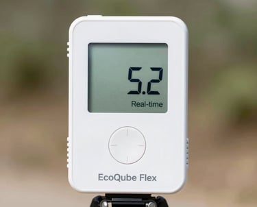 Professional setting up radon measurement equipment inside a cozy living room.