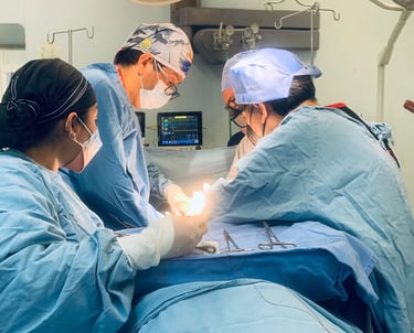 tequiav.Técnicas Quirúrgicas Avanzadas para manejo de la Hemorragias Obstétrica