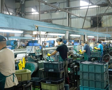 Custom kitchen knives