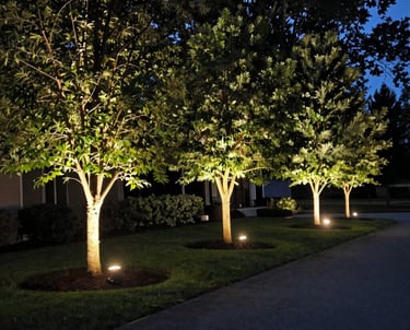 A beautifully lit garden pathway glowing warmly under soft landscape lights at dusk.