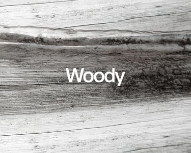 woody perfume pakistan karachi lahore islamabad