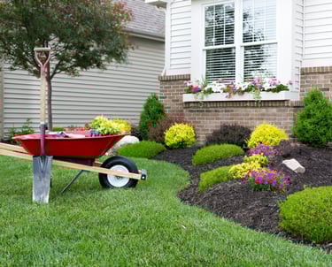 Red wheelbarrow and shovel on a green lawn by a landscaped flower bed with fresh mulch.
