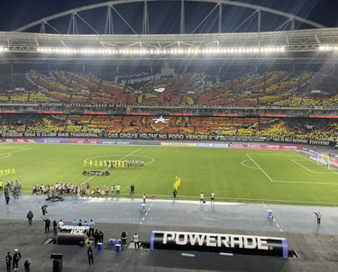 MOSAICO CONTRA O PALMEIRAS DA FENIX