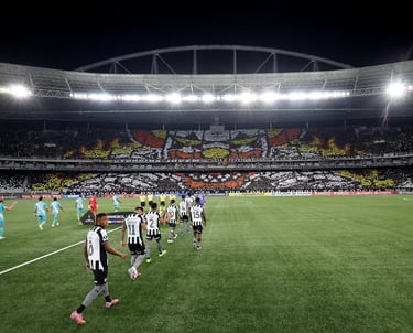 MOSAICO CONTRA O NACIONAL POTOSÍ PRE LIBERTADORES