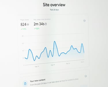 Screenshot of Google Business Profile statistics and site overview