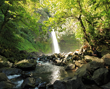 A scenic waterfall flowing into a rocky riverbed surrounded by a lush green tropical forest.