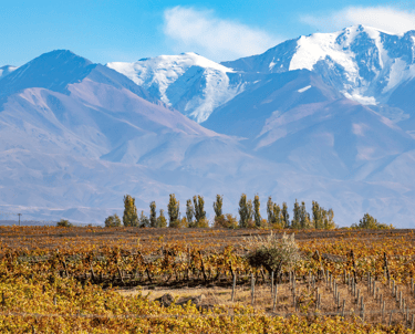 Visa Requirements and Entry Rules for Mendoza, Argentina
