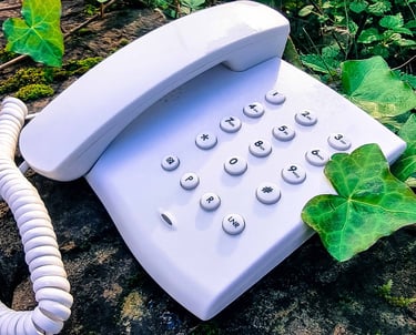 a telephone among green leaves