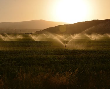 Horizon view of cropland with center pivot sprinklers irrigating the field at sunset.