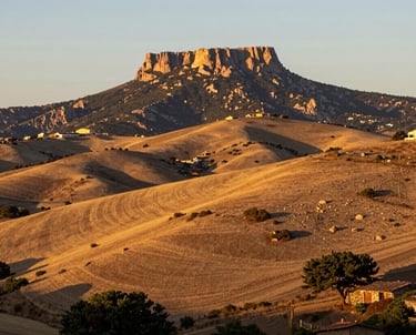 white and black abstract painting