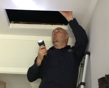 Perth building inspector accessing roof space