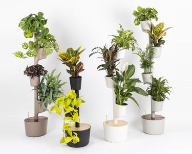city sens jardin vertical hydroponique