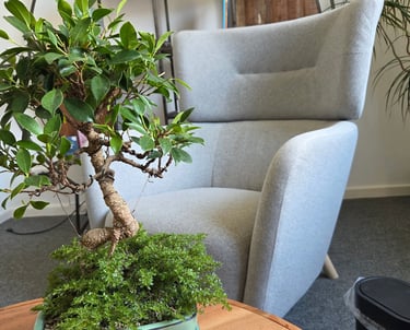 systemische Therapie