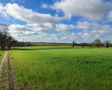 countryside field in the east of england with some homes in the distance