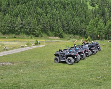 Prestations Nunchi Adventure