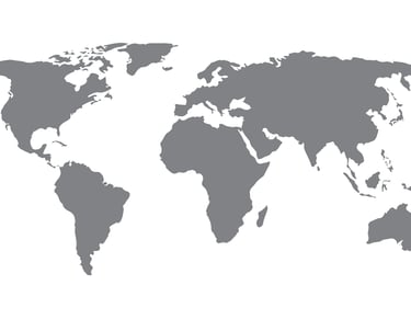 Sanet Group offers western companies professional and reliable consulting for all kinds of business challenges