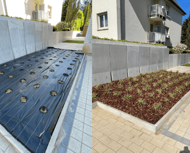 Plantation de graminées.