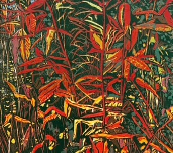Autumn Shock