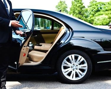 Airport Meet and Greet service