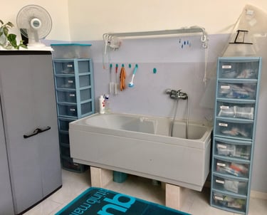 Vasca per tosatura animali