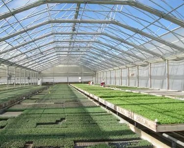 Commercial Greenhouse Roofing