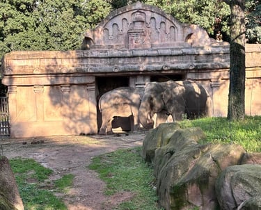 Elephants at Faunistic Park Le Cornelle
