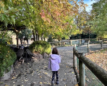 Faunistic Park Le Cornelle