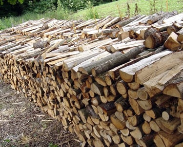 bois de chauffage empilés les uns sur les autres