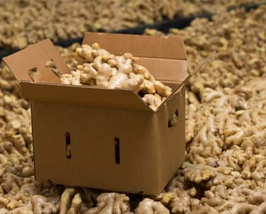 bulk-fresh-ginger-packing