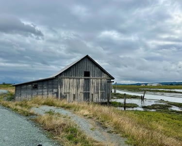 A weathered, wooden barn-like structure overlooking a tidal slough.