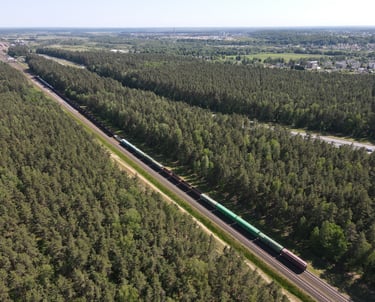 ASMENŲ, KURIŲ DARBAS TIESIOGIAI SUSIJĘS SU GELEŽINKELIŲ TRANSPORTO EISMU, MOKYMAI