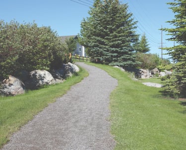 a paved path leading to a grassy area with trees