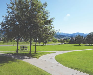 a park bench and a bench in a grassy area
