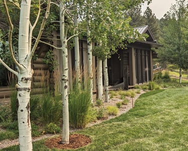 a wooden cabin in the grass