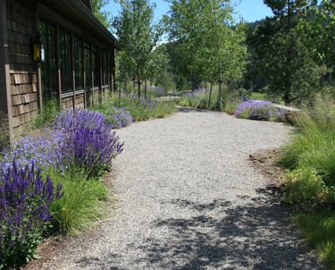 a natural meandering gravel plath with purple flowers and trees in a landscape