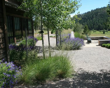 a natural meandering gravel plath with purple flowers and trees in a landscape