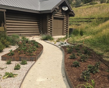 raised garden beds with native cutting flowers
