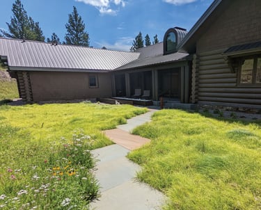 a house with a path leading to an alternative lawn