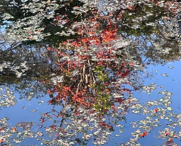 psichologine grupe savivokai ir vidiniam aiskumui