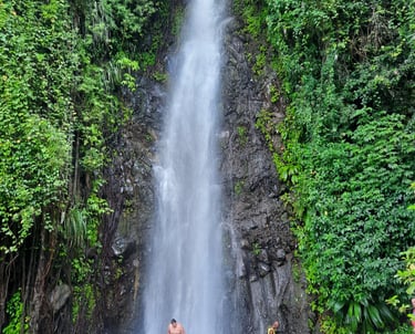 Dark View Falls