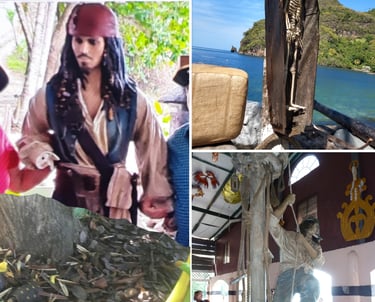 Pirates of the Caribbean Tour with Trubb Taxi Tours SVG