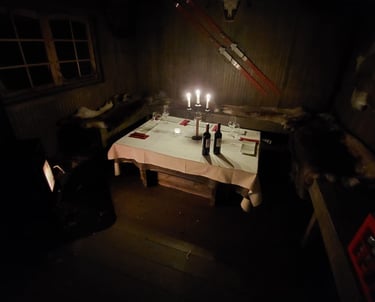 Un dîner dans la forêt en Laponie