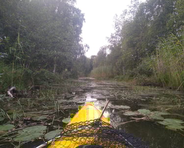 Canoê-kayak Höga kusten