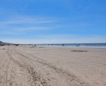 Strand in Zandvoort